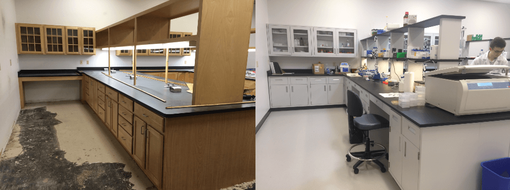GI Lab Before/After